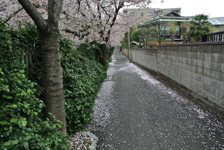 f0154478_10475388.jpg