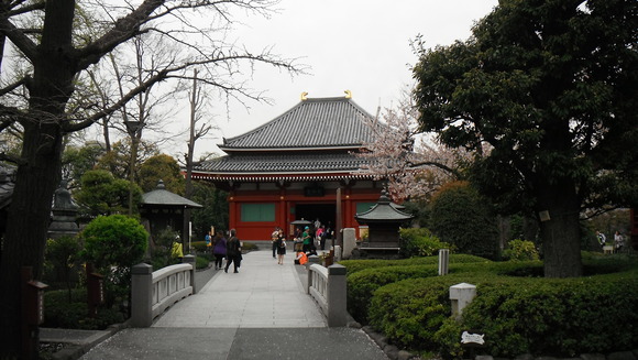 c0064381_11883.jpg