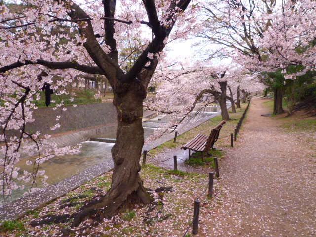 a0206984_23562886.jpg