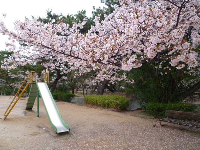 a0206984_2356518.jpg