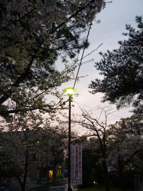 a0206984_2357783.jpg