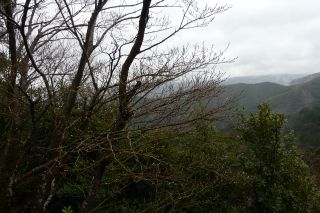 2012年4月14日 ここから始まる_b0098584_1952596.jpg