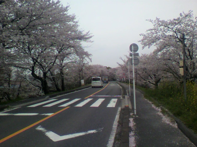e0223584_8561596.jpg