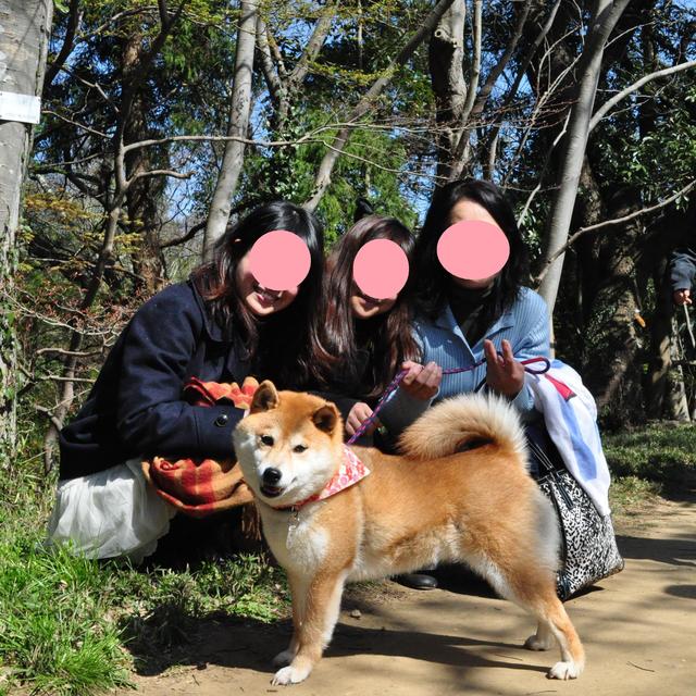 お花見で嬉し恥ずかし!_a0126590_639468.jpg