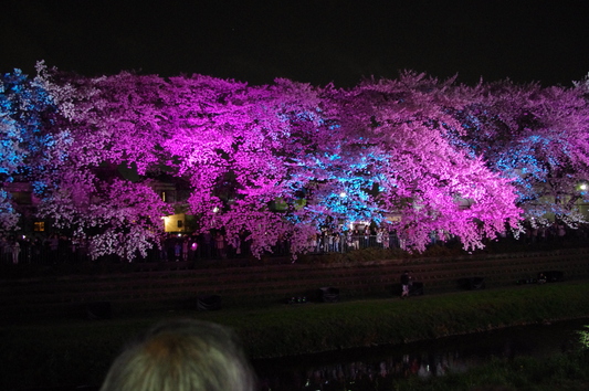 c0068891_141658.jpg