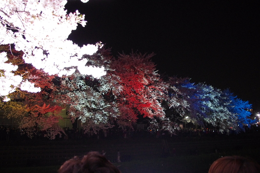 c0068891_16554.jpg