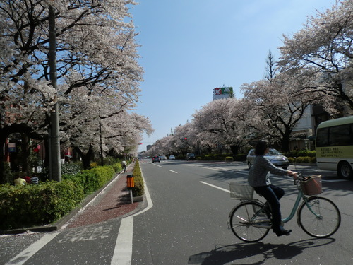 f0117892_1894754.jpg