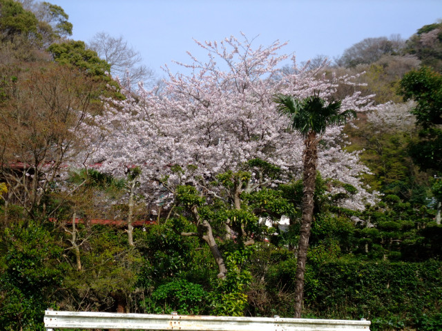 b0203596_12522838.jpg