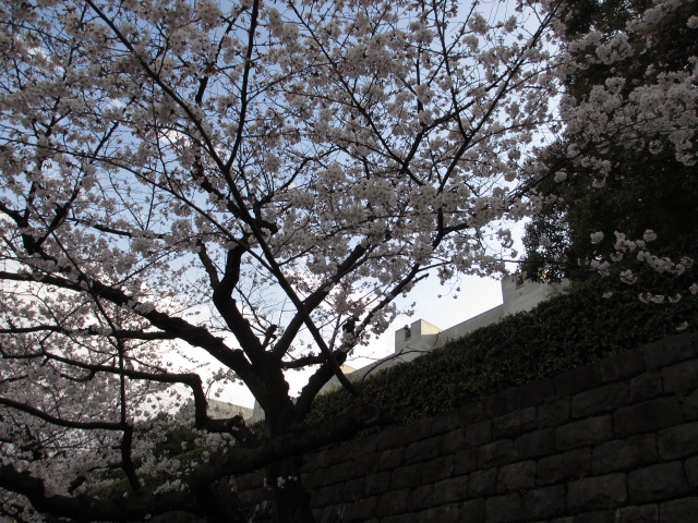 a0193698_8131412.jpg