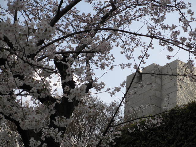 a0193698_8133062.jpg
