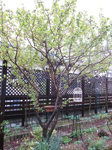 c0117898_19374911.jpg