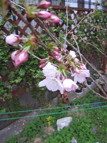 c0117898_19404080.jpg