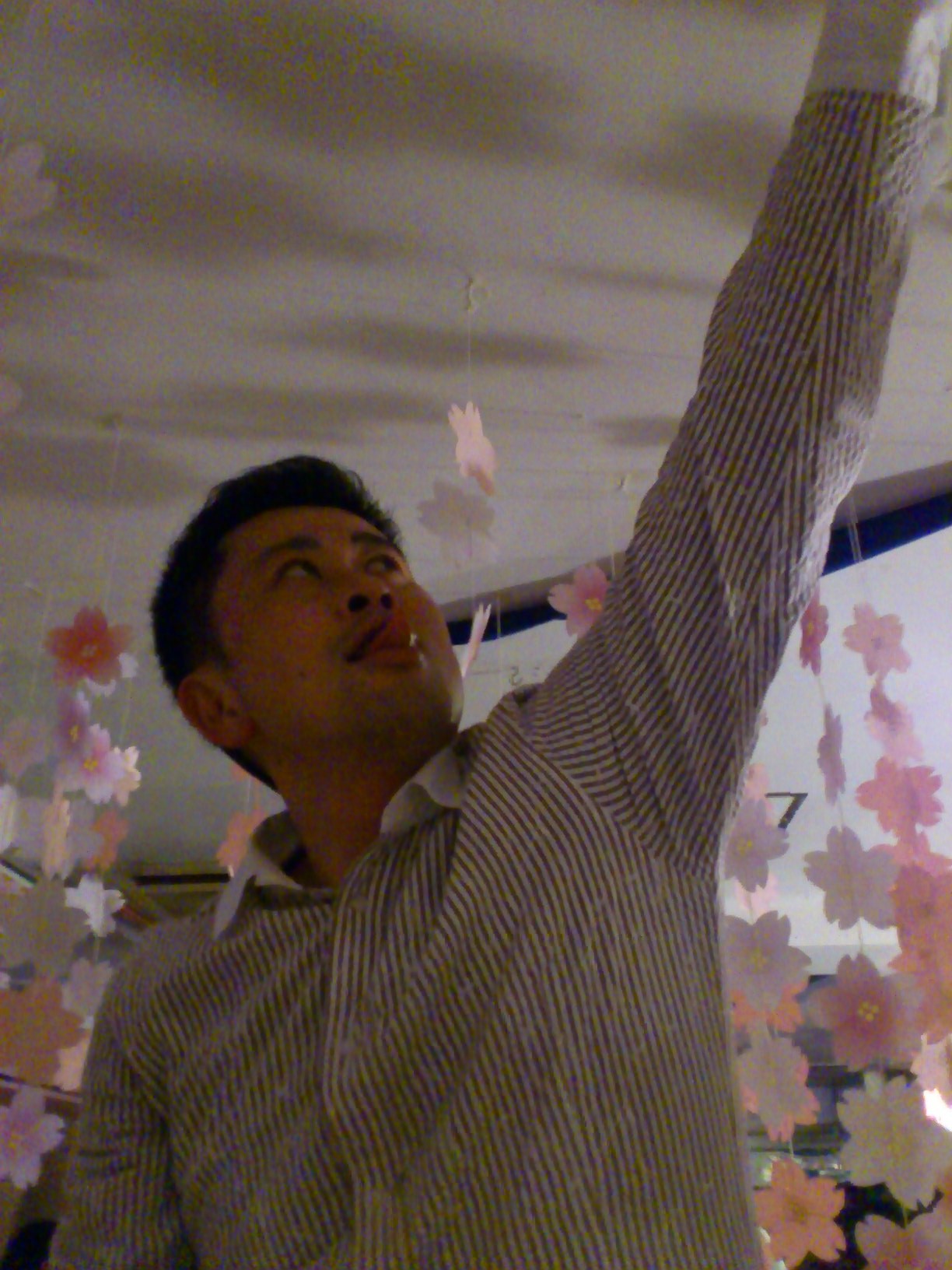 正しい桜の作り方_e0117398_1751585.jpg