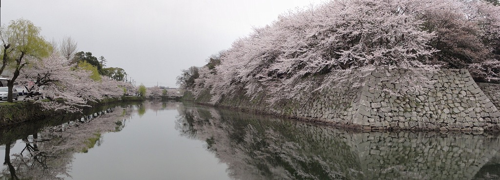 c0125501_854684.jpg