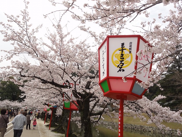 c0125501_855029.jpg