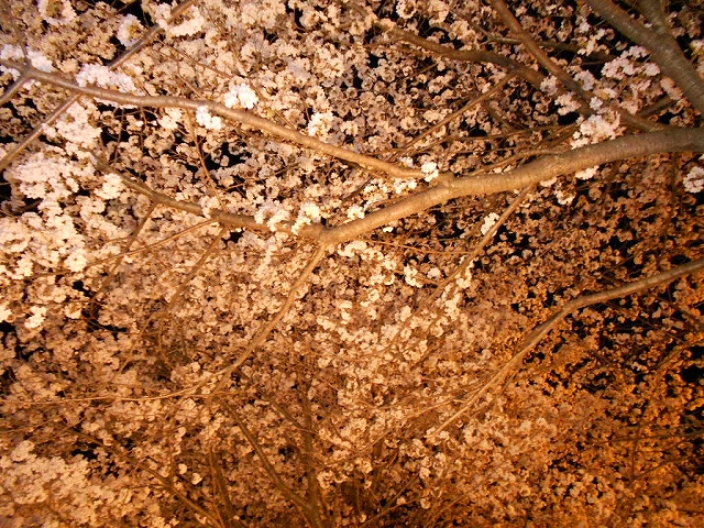 b0147203_22592662.jpg