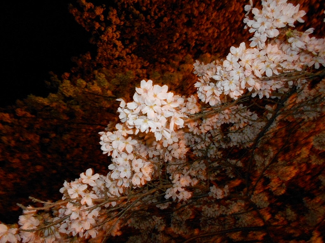 b0147203_2301834.jpg
