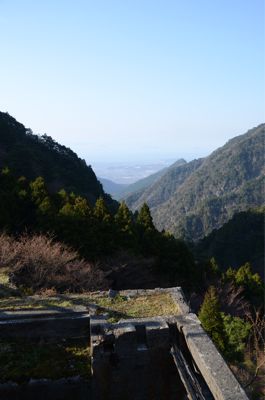 d0147406_2038283.jpg