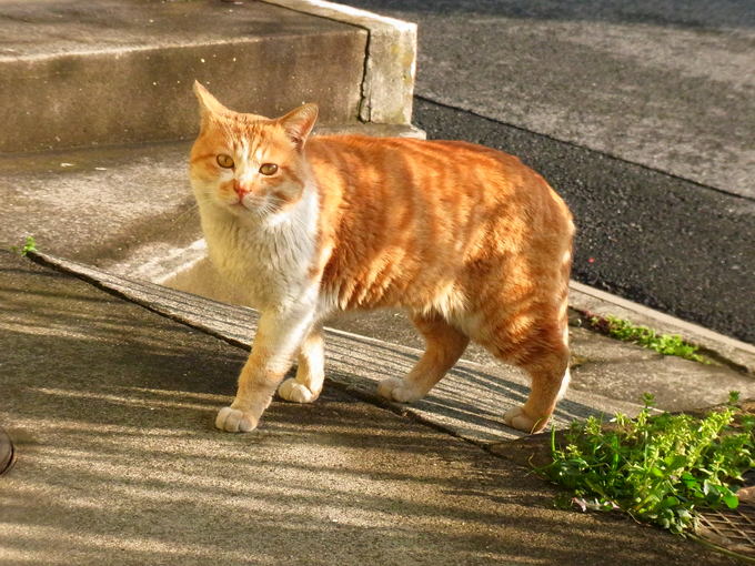 d0191007_124740.jpg