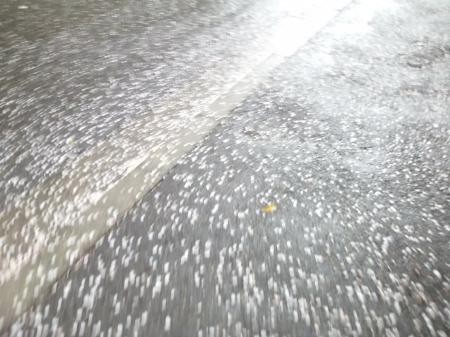 f0155808_12585187.jpg