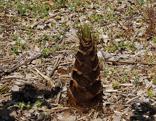 c0097309_21385723.jpg
