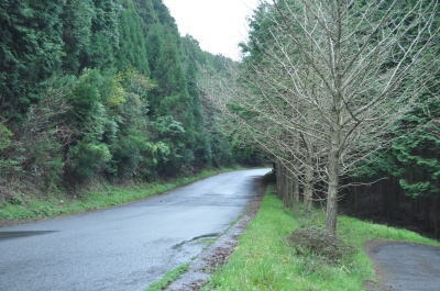 c0178009_1705328.jpg