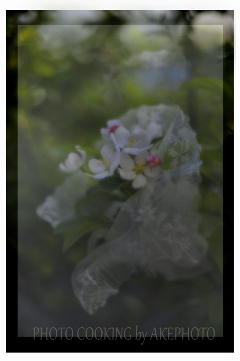 ナチュラルブーケ　～姫りんごの花束～_e0127416_017736.jpg