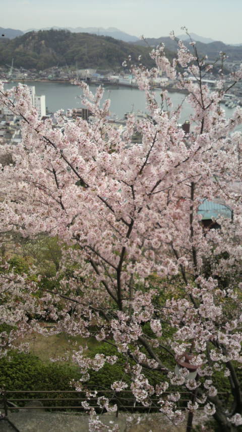 f0053218_1385330.jpg