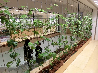 第15回 マネー金上と行く社会見学_d0237121_20574528.jpg