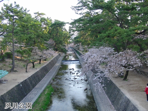 e0179321_8272479.jpg