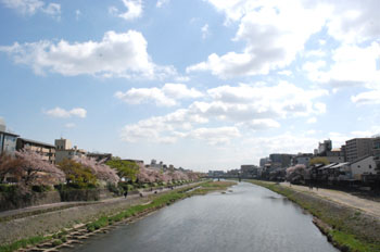 春の鴨川_e0103024_015298.jpg