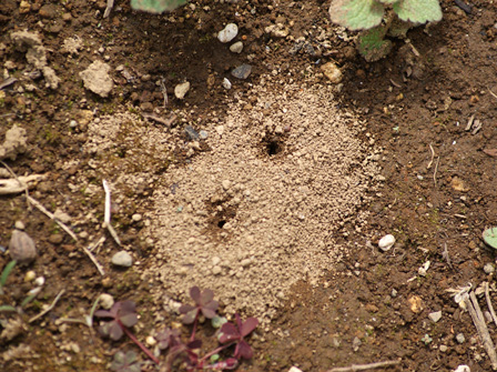 c0184125_14064.jpg