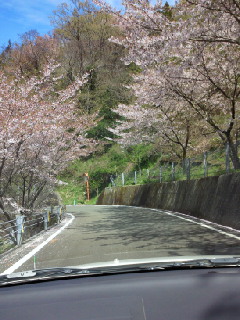 d0025725_2273144.jpg