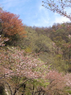 d0025725_2273149.jpg