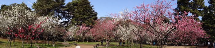 京都御苑と梨木神社_e0249326_14574770.jpg