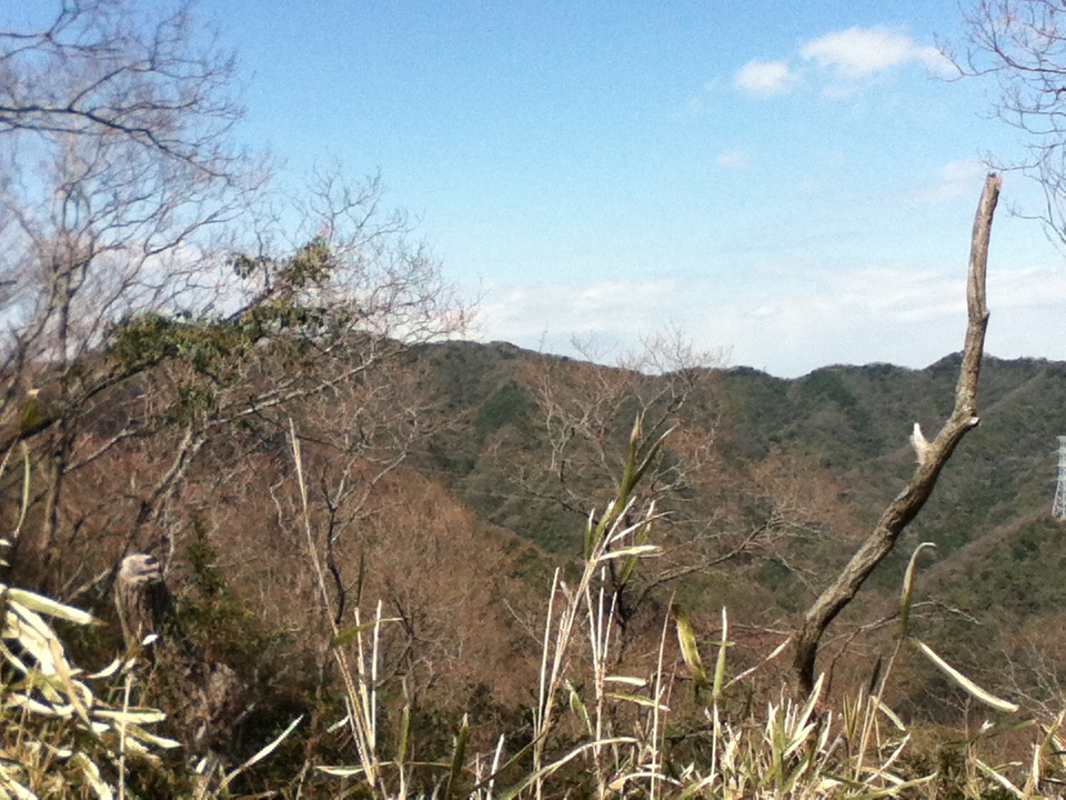 c0029332_2312592.jpg