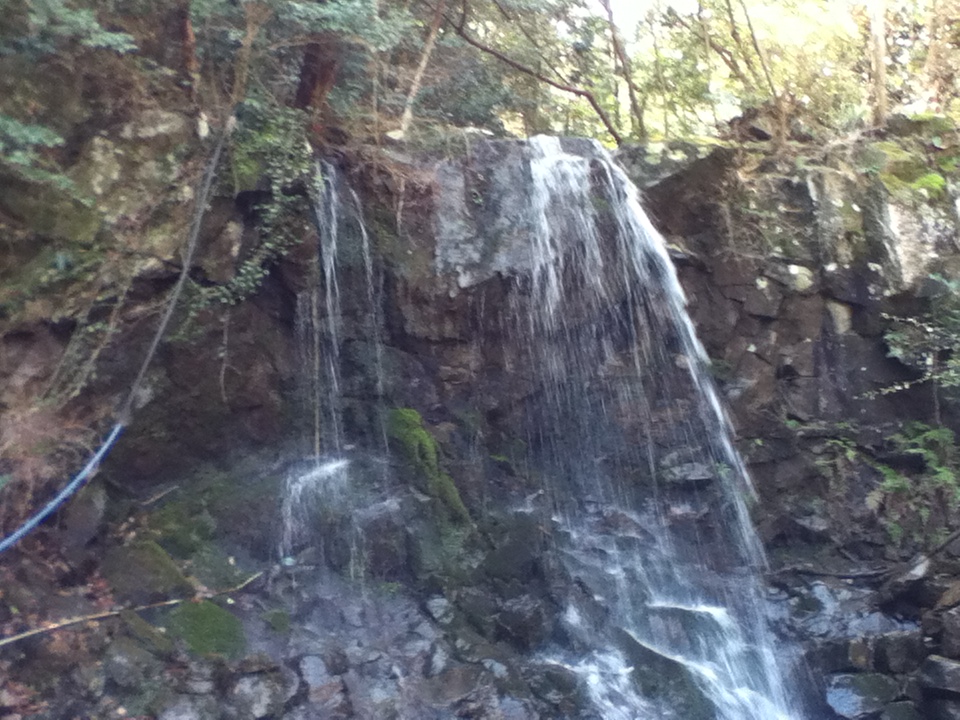 c0029332_23134152.jpg