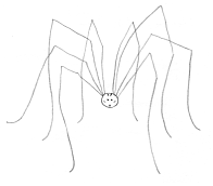 b0246533_1425287.gif