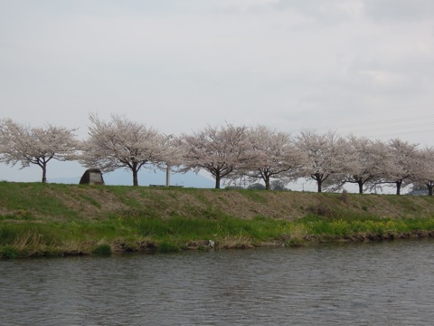 e0206433_23424121.jpg