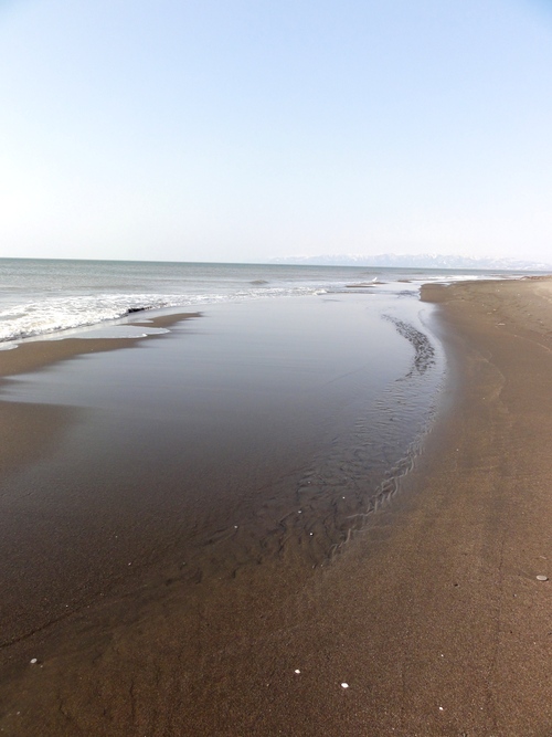 d0235336_1710691.jpg