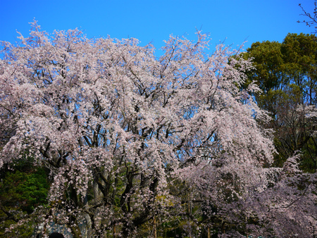 201204東京⑤_d0247137_23181236.jpg