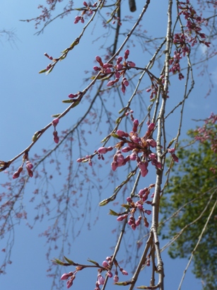 b0169238_22552238.jpg