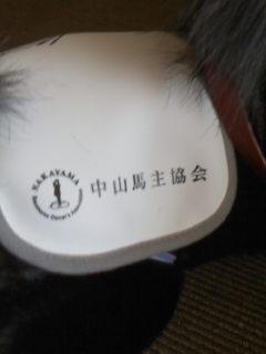 e0067640_15393399.jpg