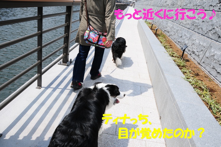 c0147241_21361146.jpg