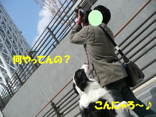 c0147241_21361789.jpg