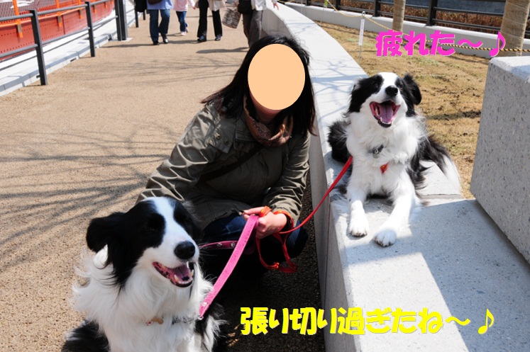 c0147241_21363983.jpg