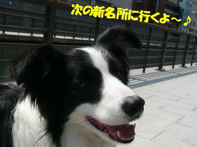 c0147241_21372962.jpg