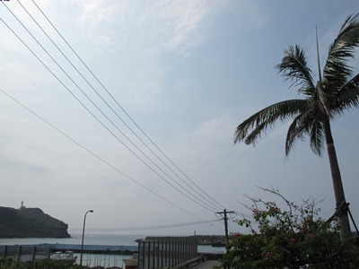 4月 15日 陸でも群れが…☆_b0158746_17341434.jpg