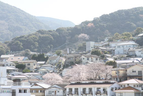 早岐瀬戸_d0179447_134072.jpg