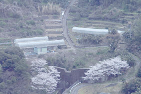 長崎へ_d0179447_13425844.jpg